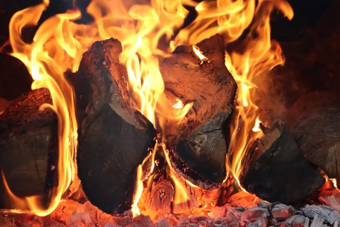Best Wood for Smoking: The Complete Guide (2026)