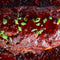 Smoked BBQ Meatloaf Recipe with Meat Mitch and Sticky Fingers