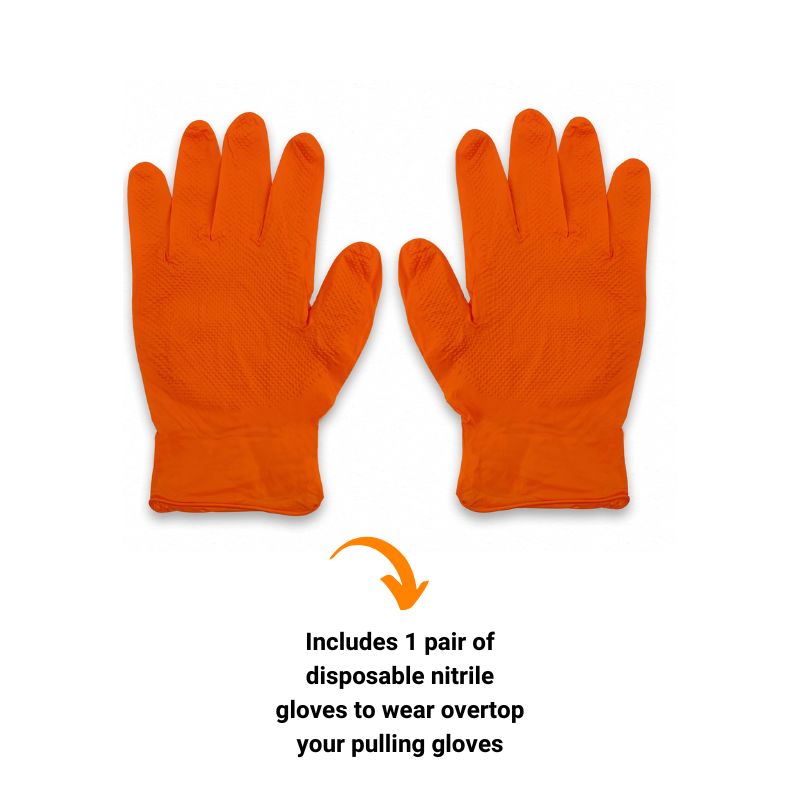 "Pulled Perfection" BBQ Box