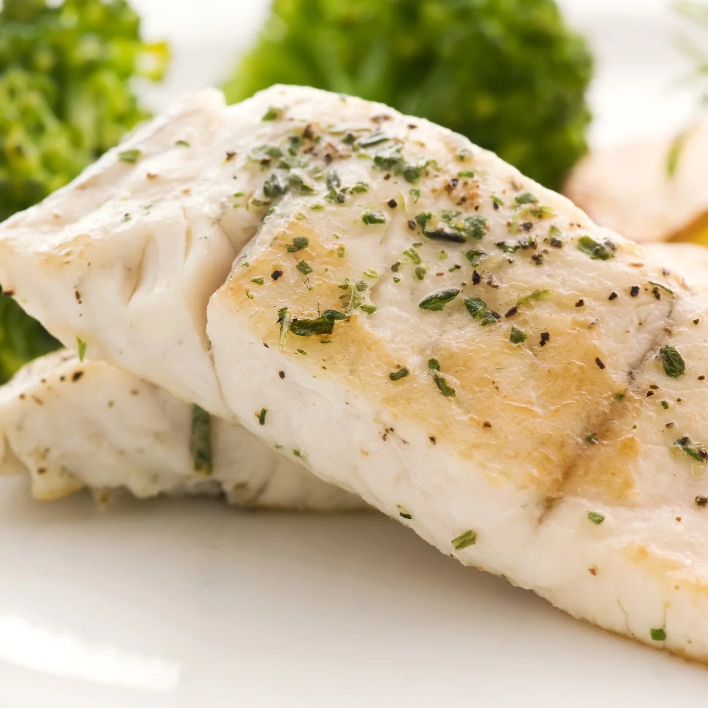 Classic Key West Seafood Fish & Seasoning by The Spice Lab (5 oz)